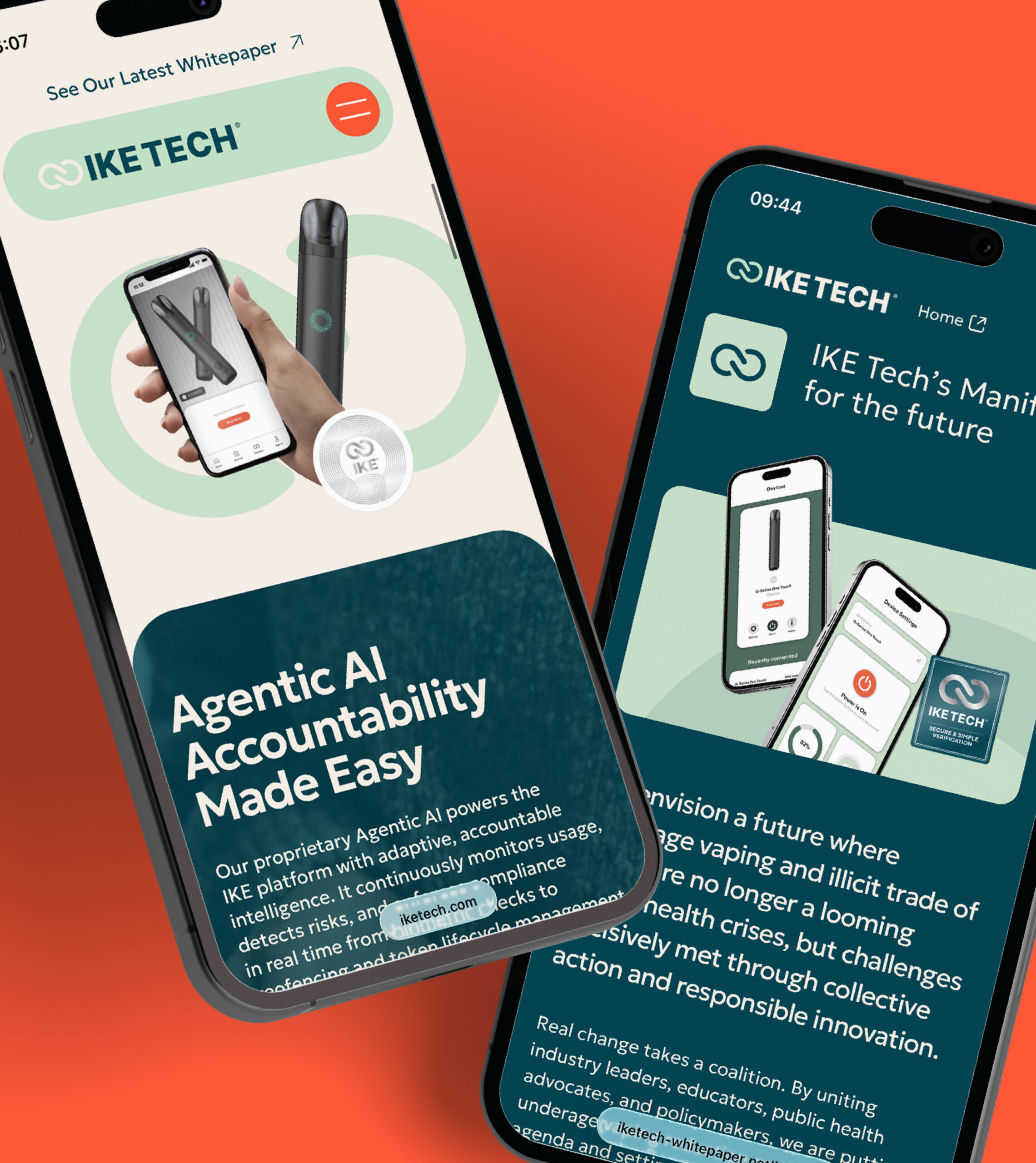 Project title or news story headline, this can be over two lines