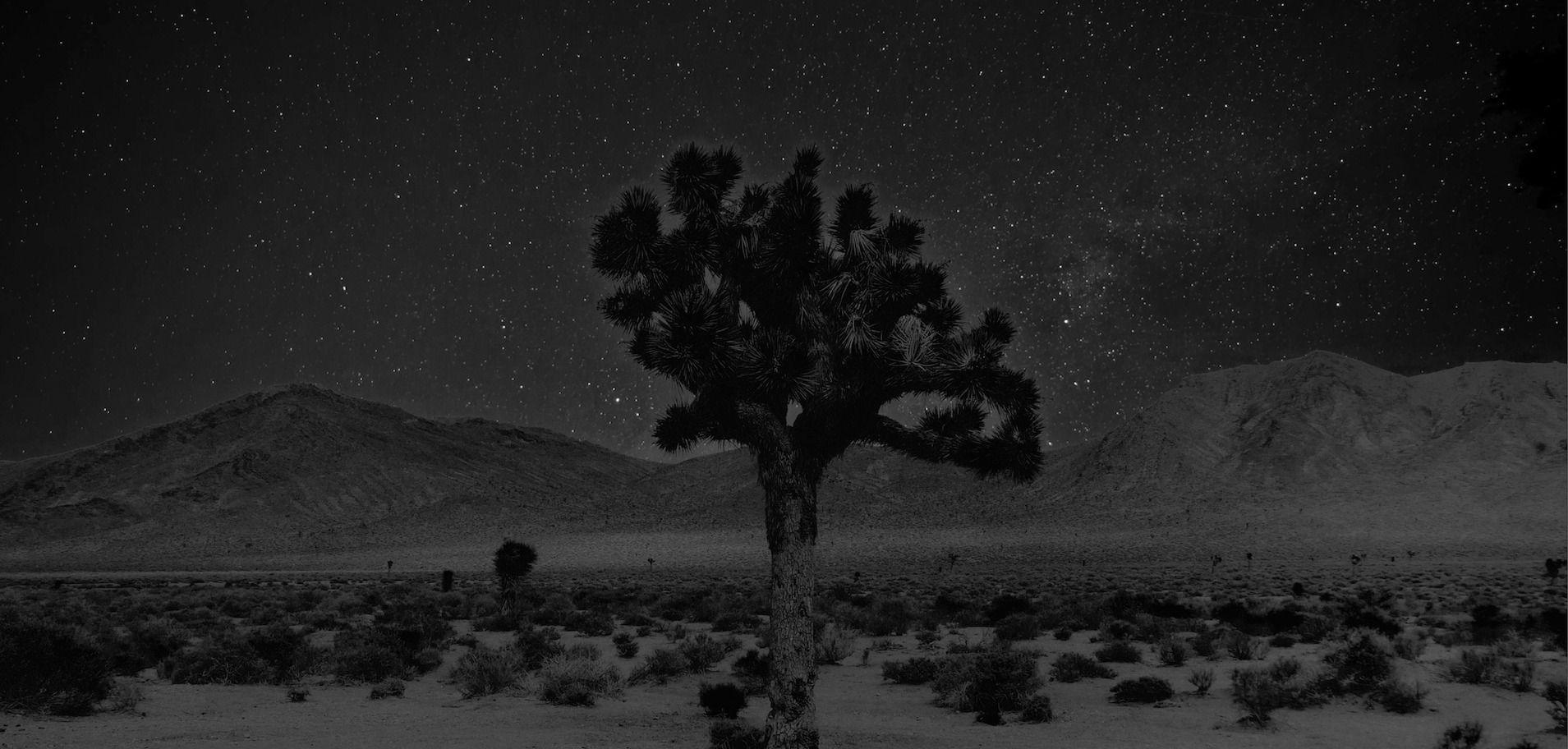 Imagined in California